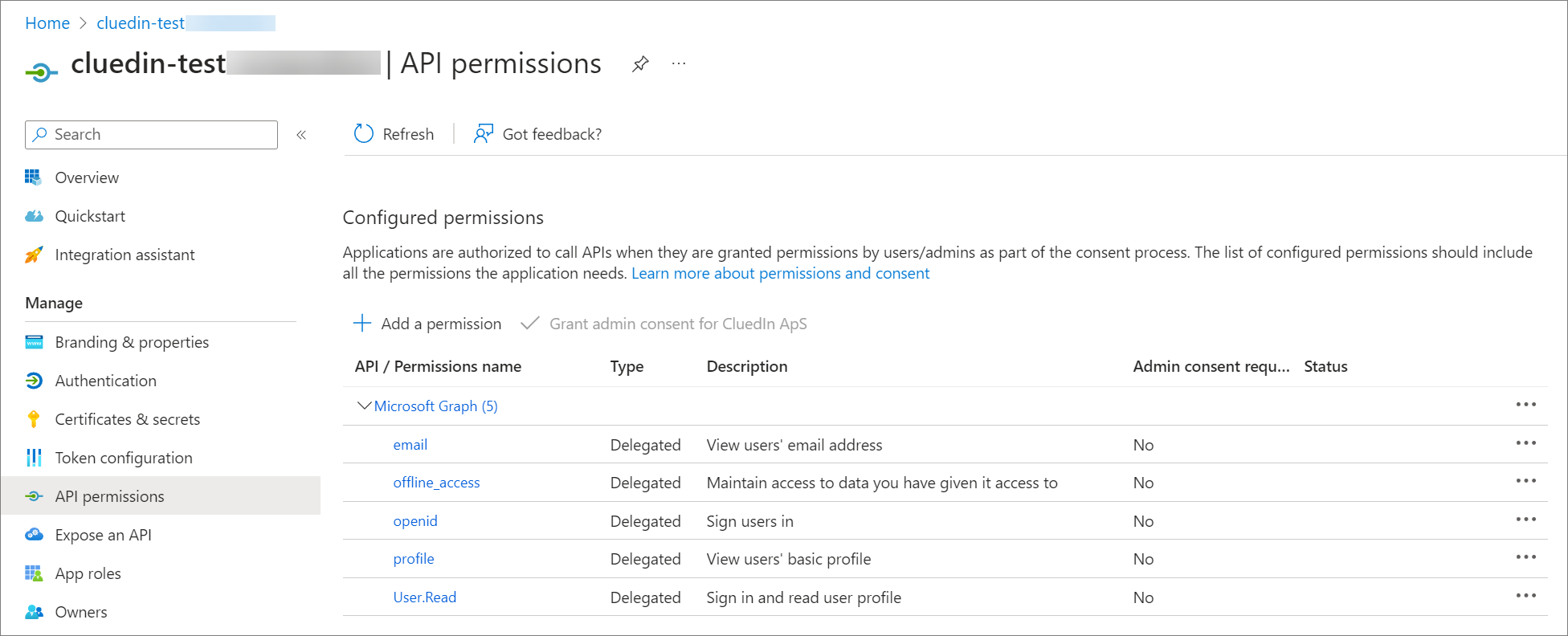 API permissions after the update: Microsoft Graph with email, offline_access, openid, profile and User.Read delegated permissions