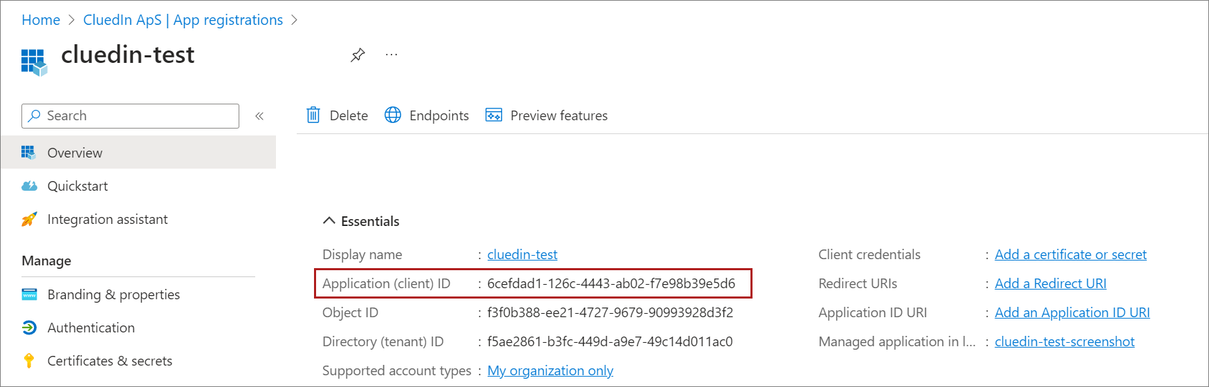 Overview pane of the cluedin-test app registration with the Application (client) ID highlighted