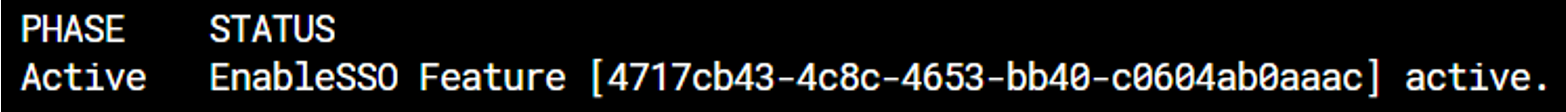 Terminal output with phase Active and status EnableSSO Feature active