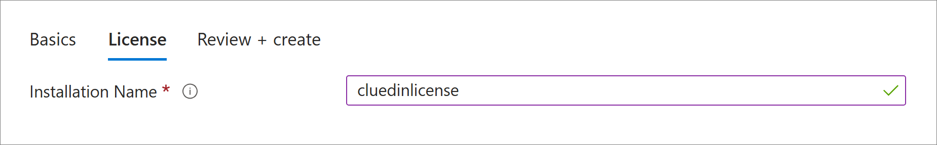 License tab with Installation Name set to cluedinlicense
